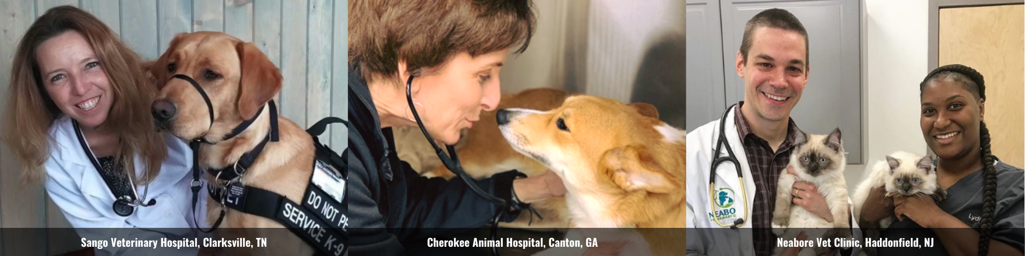 cherokee animal hospital hours