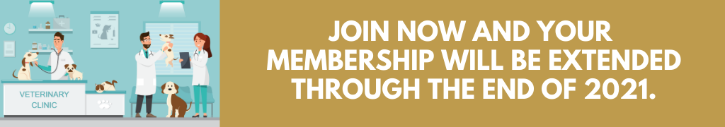 Membership Web Banner Membership Web Banner