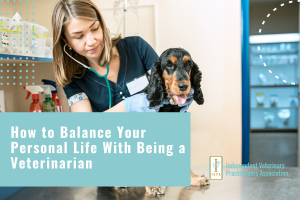 Why You Should Consider Buying Your Own Veterinary Practice-3
