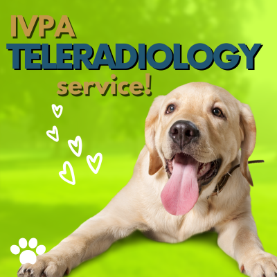 Teleradiology Service TEMP Image Teleradiology Service TEMP Image
