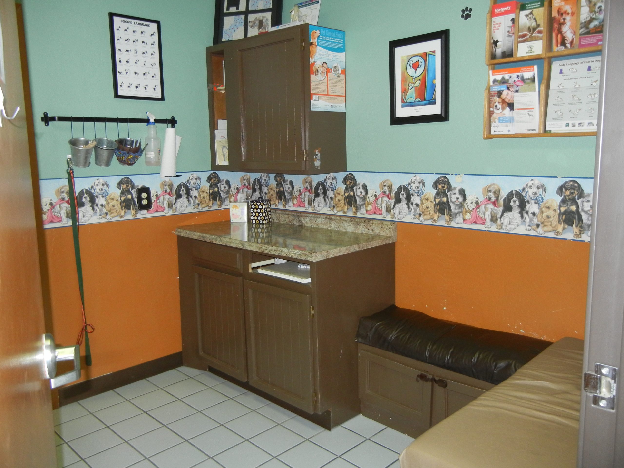 AZ – Phoenix- solo clinic (canine/feline GP)